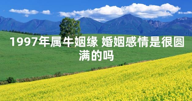 1997年属牛姻缘 婚姻感情是很圆满的吗